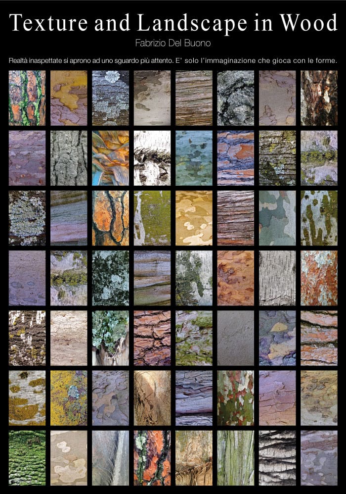 Poster_-into-the-wood-70x100_FDB